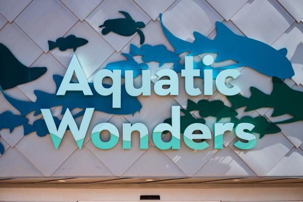 A sign above the entrance of a building that reads "Aquatic Wonders"