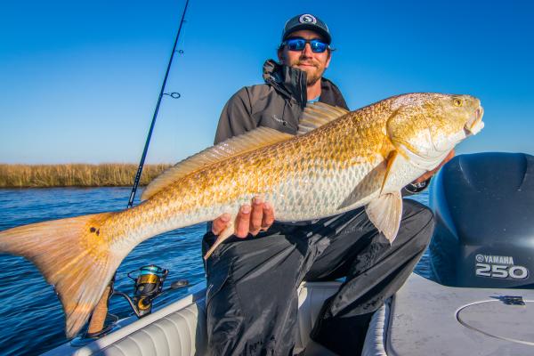 Redfish in Winter