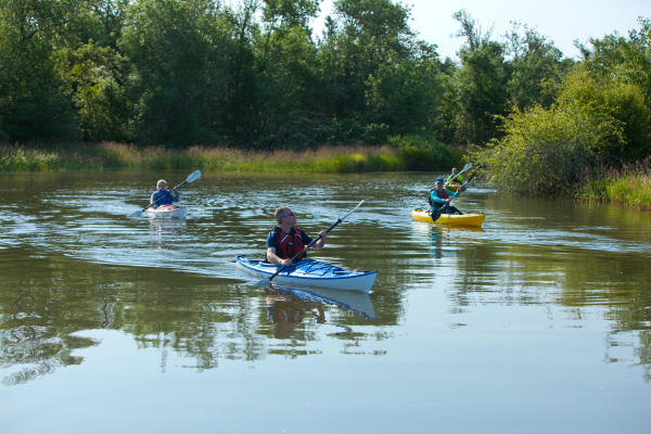 Fern Ridge Kayaking Courtesy of Eugene, Cascades & Coast