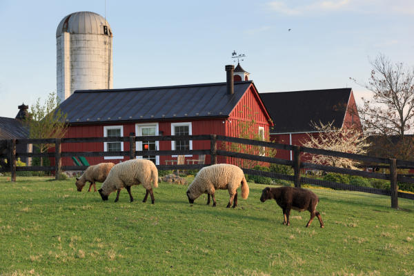 Farm To Table Restaurants In Loudoun County Virginia