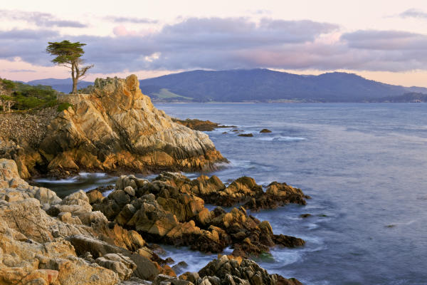 This bit of rugged coastline is home to a lone Cypress tree in Monterey County.