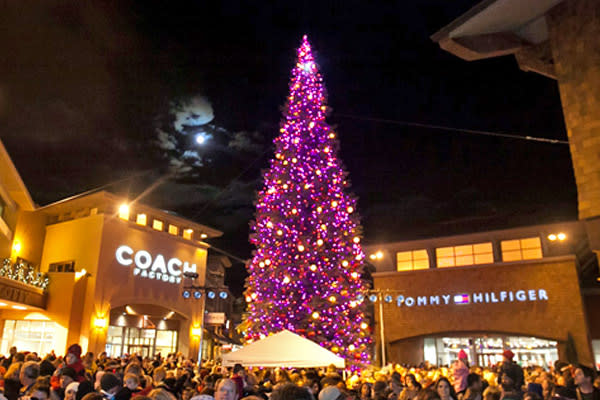 Christmas Tree Pickup Provo Ut 2022 Best Places To See Holiday Lights | Explore Utah Valley