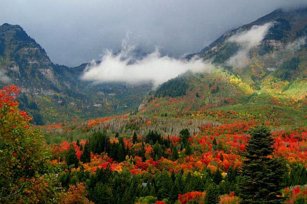 Scenic Drives to See Fall Colors in Utah Valley
