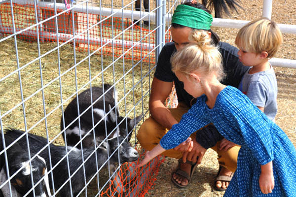 Where to Have Adorable Animal Experiences in Utah Valley