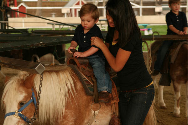 Where to Have Adorable Animal Experiences in  Utah Valley