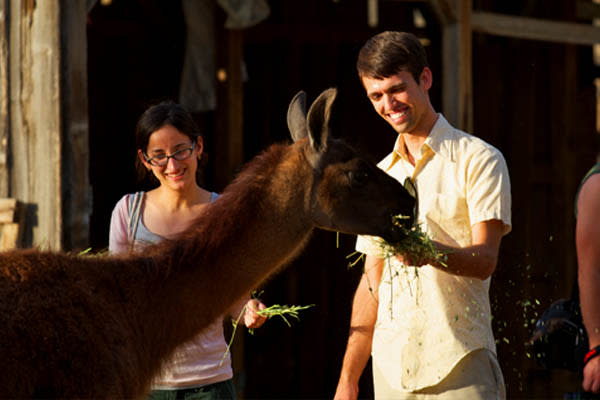 Where to Have Adorable Animal Experiences in  Utah Valley