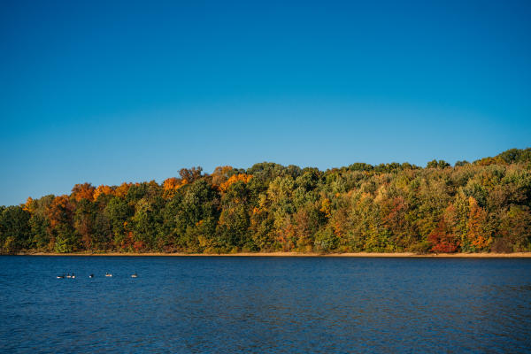 As fall progresses, the changing leaves stand in stark contrast to the blue water of Lake Marburg at Codorus State Park.