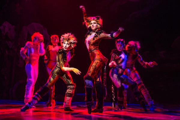 Performers in "Cats" Musical