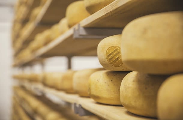 Cheese Wheels at Gunn’s Hill