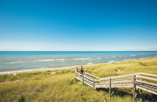 Grand Bend Pinery