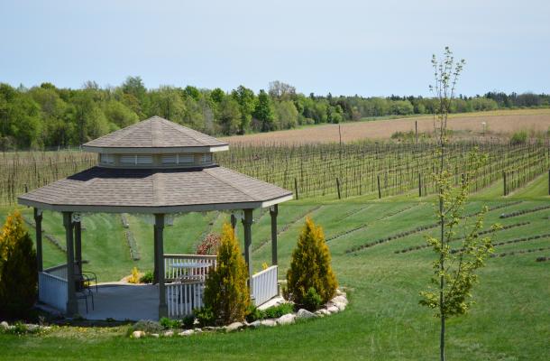 Bonnie Health Estate Winery