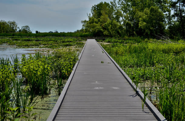 Hillman Marsh Conservation Area