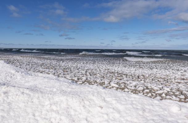 Pinery beach winter- Lauren Photo