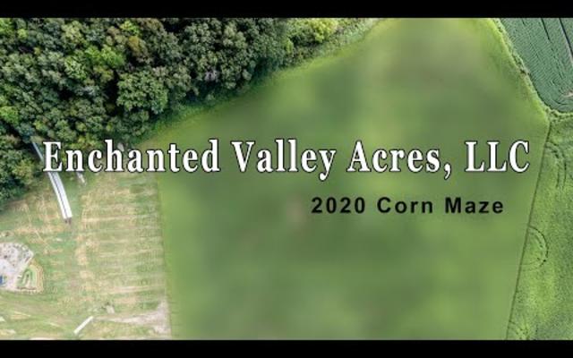 Enchanted Valley Acres - 2020 Corn Maze (Above Pix)