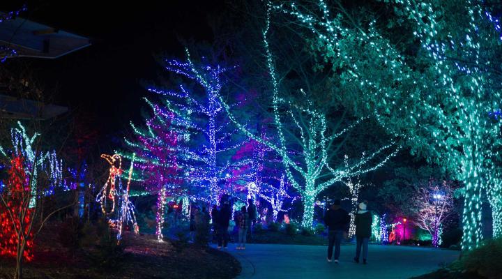 photo from visitindy.com
