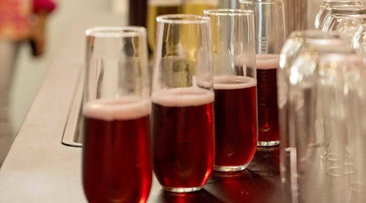 The Rejoicing Vine | Indianapolis, IN