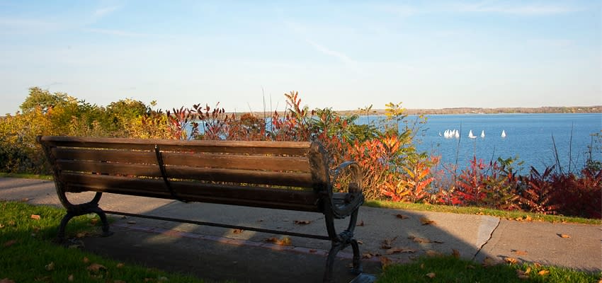 Fall Seneca Lake