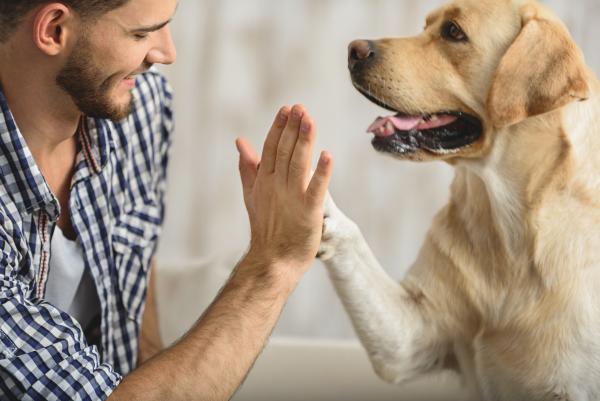 high five