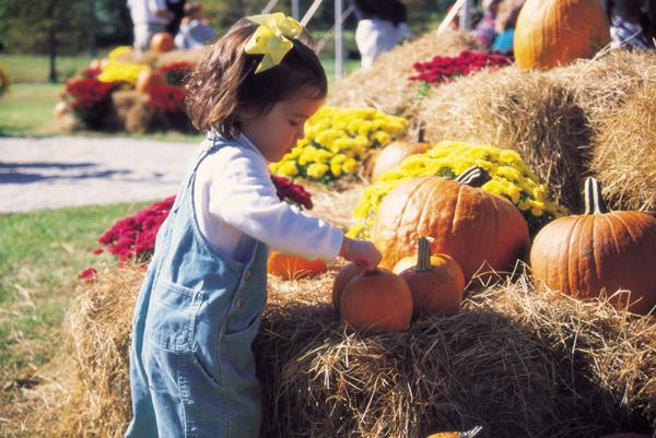 Brookgreen Gardens Harvest Home Weekend Festival