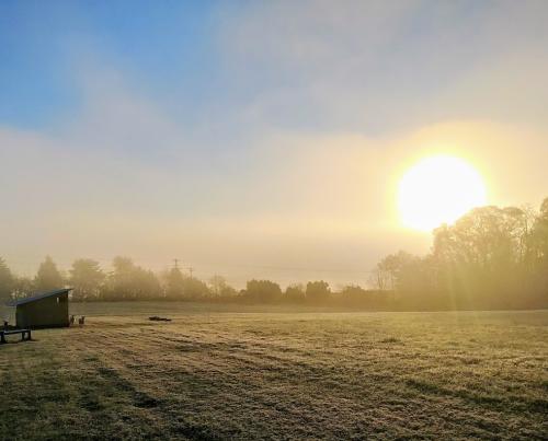 Sunrise over a field with blue sky