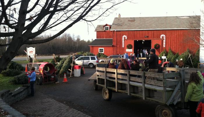 Wagon ride Wagon ride