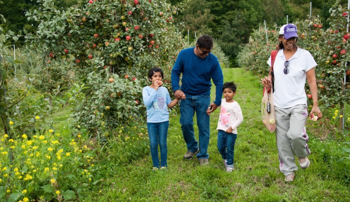 Family in orchard Family in orchard