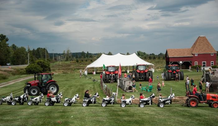 Cow train Cow train