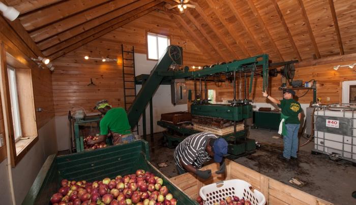 Cider press Cider press