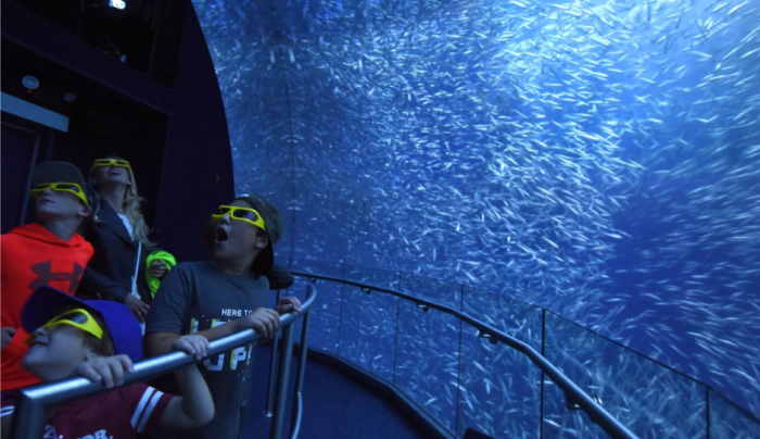 1. National Geographic Encounter: Ocean Odyssey 1. National Geographic Encounter: Ocean Odyssey