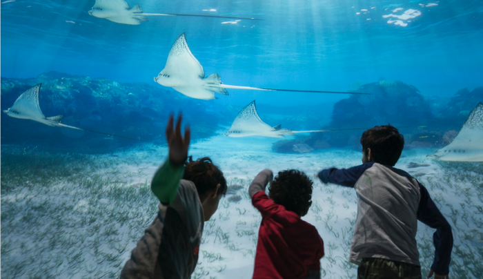 11. National Geographic Encounter: Ocean Odyssey 11. National Geographic Encounter: Ocean Odyssey