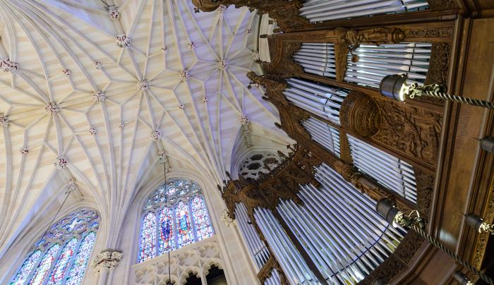 St. Patrick's Cathedral | Manhattan, NY 10126