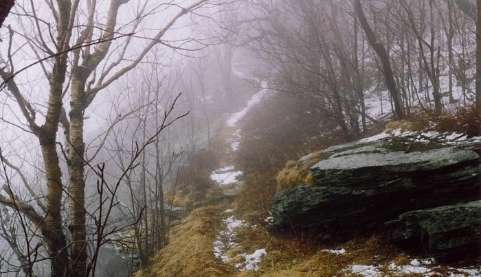Dry Brook Ridge Trail in fog (C Olney).JPG Dry Brook Ridge Trail in fog (C Olney).JPG
