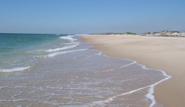 Fire Island Tourism Sayville Ny 11782