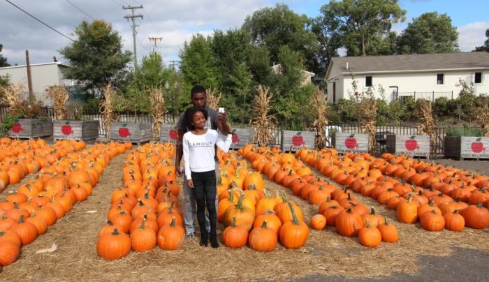 Pumpkin Patch Pumpkin Patch