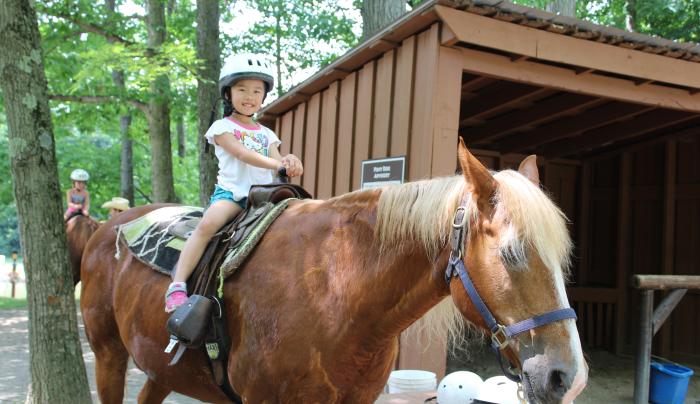 Pony Rides Pony Rides