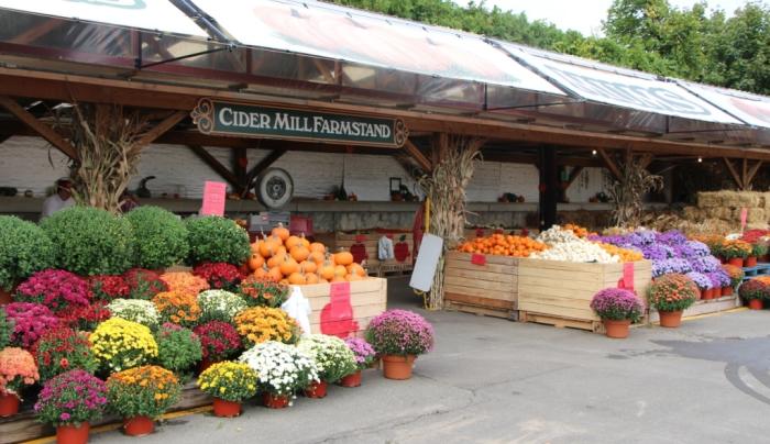 Farmstand Farmstand