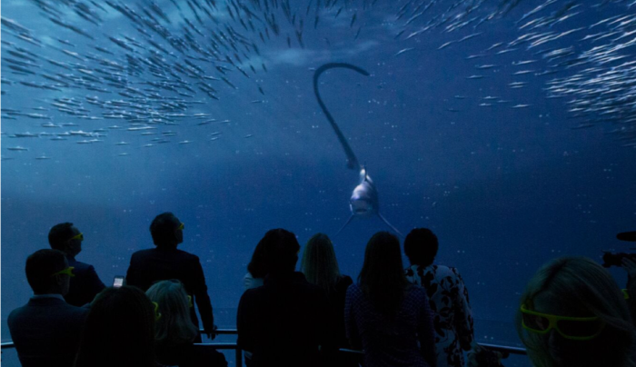 3. National Geographic Encounter: Ocean Odyssey 3. National Geographic Encounter: Ocean Odyssey