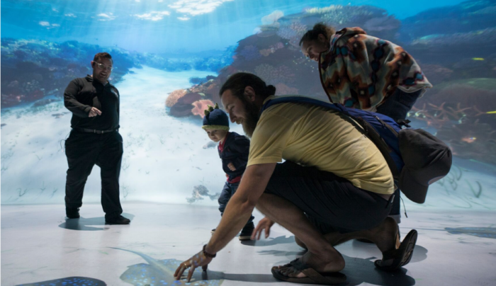 4. National Geographic Encounter: Ocean Odyssey 4. National Geographic Encounter: Ocean Odyssey
