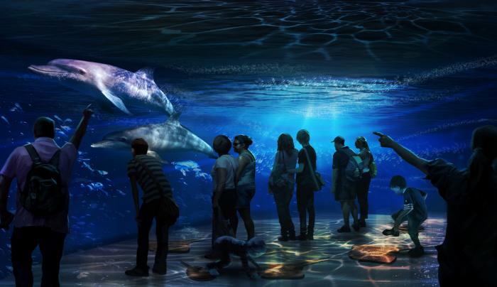 National Geographic Encounter: Ocean Odyssey 5 National Geographic Encounter: Ocean Odyssey 5