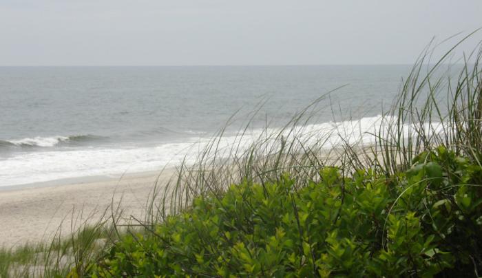 Kirk Park Beach Montauk Ny 11954