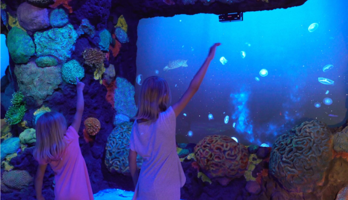 National Geographic Encounter Ocean Odyssey Manhattan