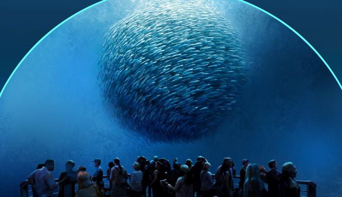 National Geographic Encounter: Ocean Odyssey 7 National Geographic Encounter: Ocean Odyssey 7