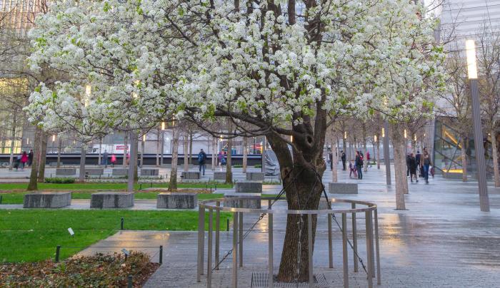 9/11 Memorial & Museum 9/11 Memorial & Museum