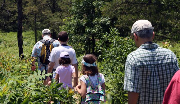 Albany Pine Bush group hike Albany Pine Bush group hike