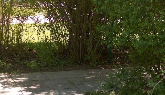 Graycliff Shady Path Summer Graycliff Shady Path Summer