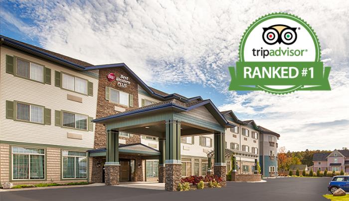 tripadvisor tripadvisor