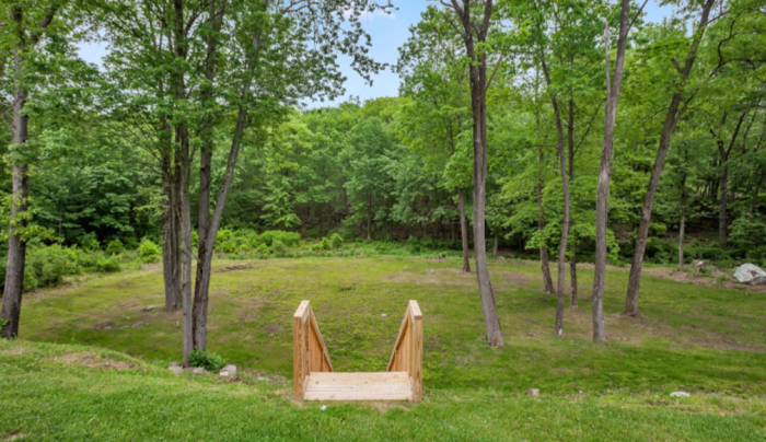 Backyard Forest Backyard Forest