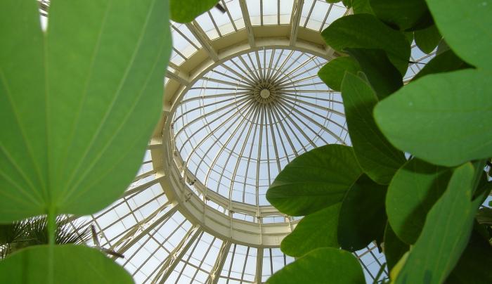 Dome Dome