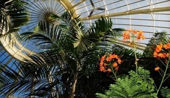 Buffalo and Erie County Botanical Gardens Buffalo and Erie County Botanical Gardens