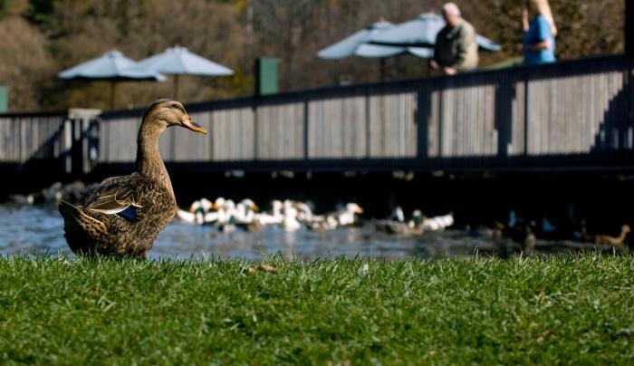 Fly Creek Cider Mill Fly Creek Cider Mill
